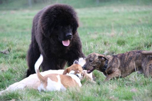 TFA Auszubildende Isabel Günther