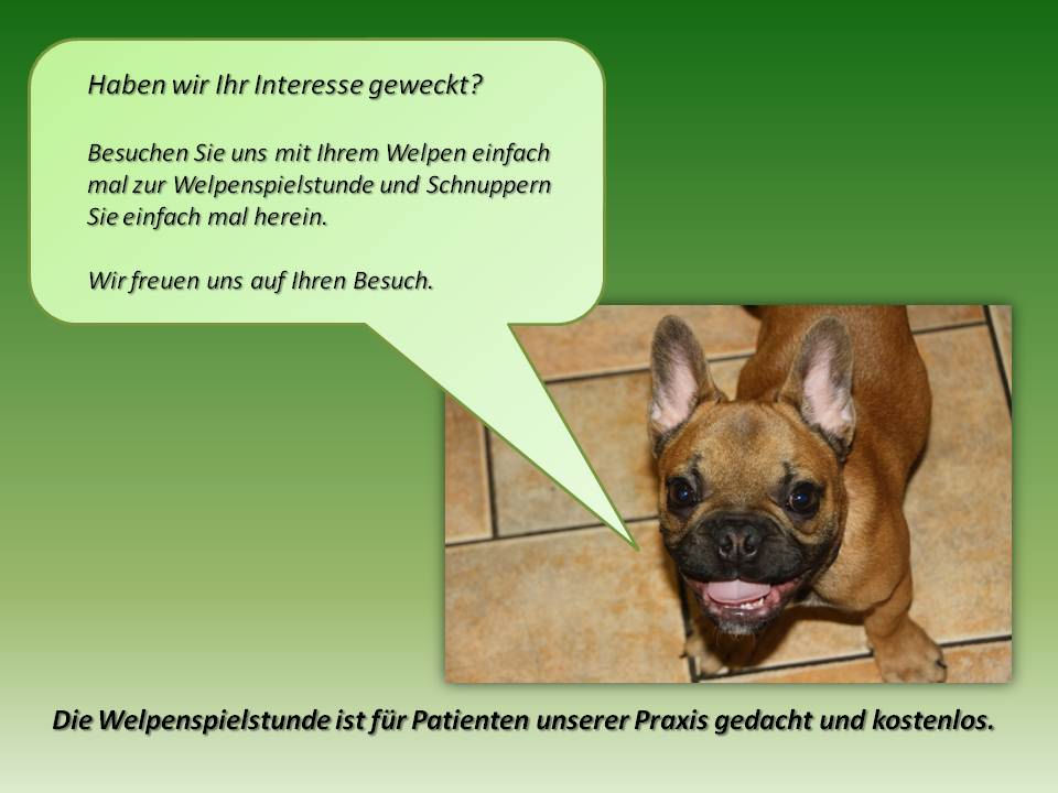 TFA Auszubildende Isabel Günther