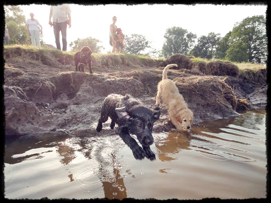 TFA Auszubildende Isabel Günther